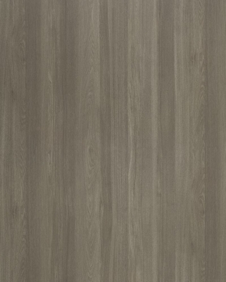 Windsor Elm