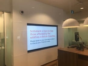 Scotia Bank